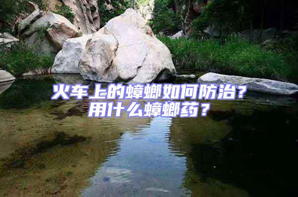 火車上的蟑螂如何防治？用什么蟑螂藥？