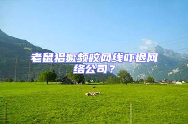 老鼠猖獗頻咬網線嚇退網絡公司？