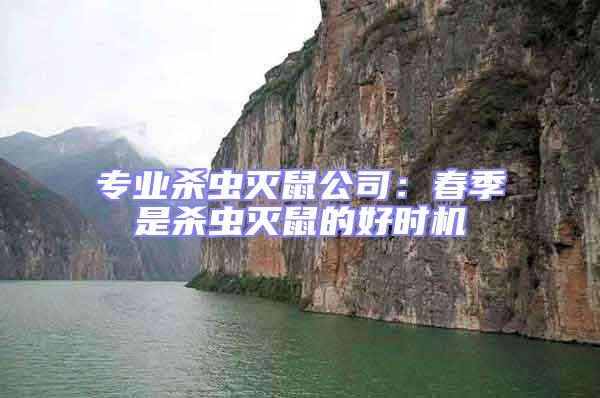 專業殺蟲滅鼠公司：春季是殺蟲滅鼠的好時機