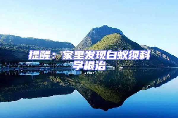 提醒：家里發(fā)現白蟻須科學根治