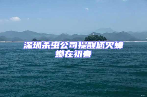 深圳殺蟲公司提醒您滅蟑螂在初春