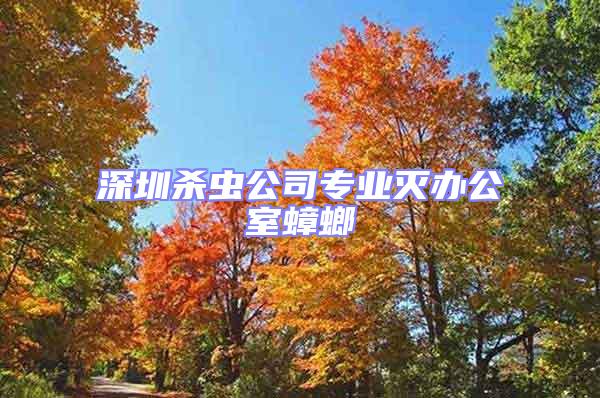 深圳殺蟲公司專業滅辦公室蟑螂