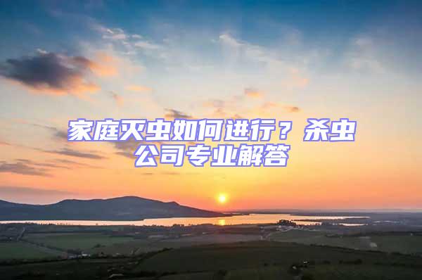 家庭滅蟲如何進行？殺蟲公司專業解答