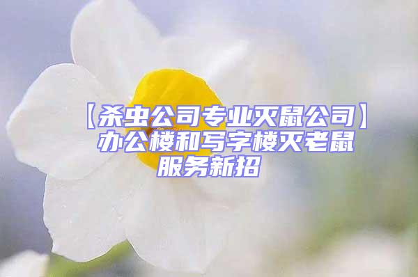 【殺蟲(chóng)公司專(zhuān)業(yè)滅鼠公司】  辦公樓和寫(xiě)字樓滅老鼠服務(wù)新招