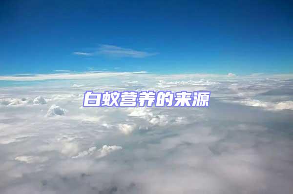 白蟻營養(yǎng)的來源