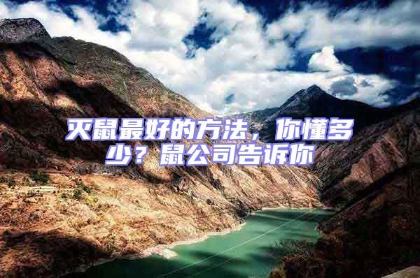 滅鼠最好的方法，你懂多少？鼠公司告訴你