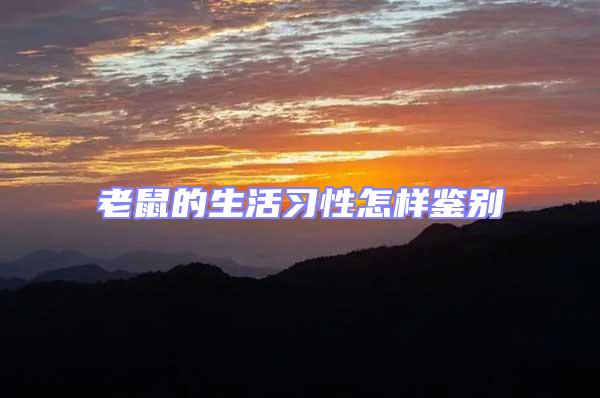 老鼠的生活習性怎樣鑒別