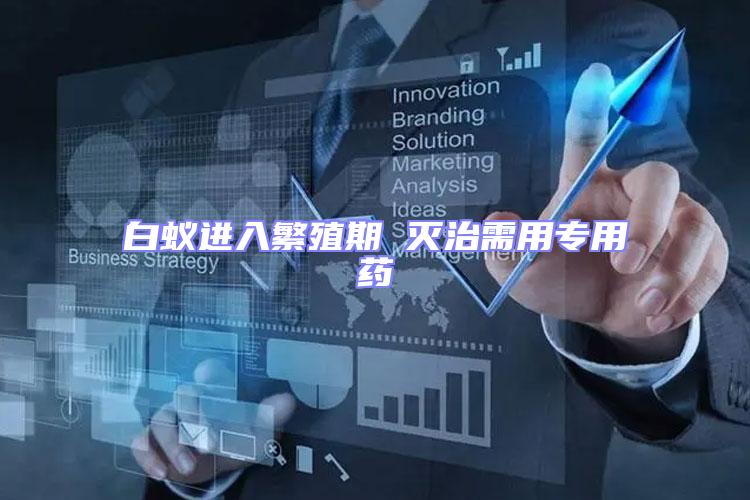 白蟻進(jìn)入繁殖期 滅治需用專用藥