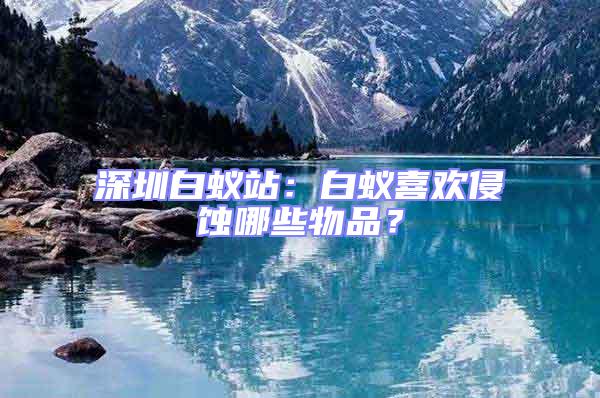 深圳白蟻站：白蟻喜歡侵蝕哪些物品？