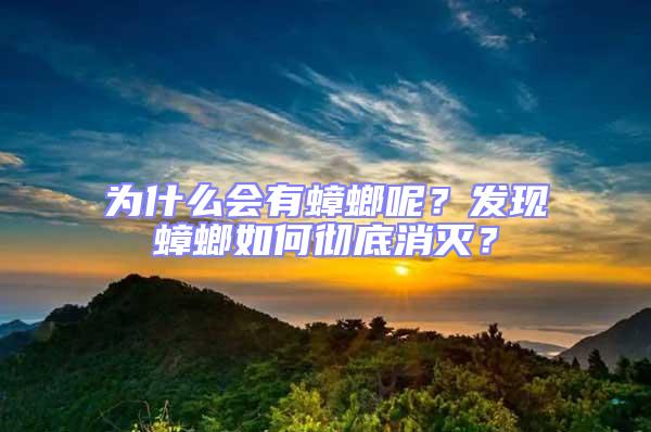 為什么會有蟑螂呢？發現蟑螂如何徹底消滅？