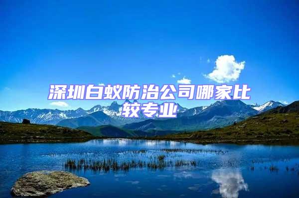 深圳白蟻防治公司哪家比較專業