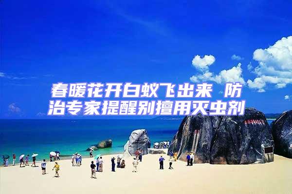 春暖花開(kāi)白蟻飛出來(lái) 防治專家提醒別擅用滅蟲劑