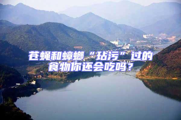 蒼蠅和蟑螂“玷污”過的食物你還會吃嗎？