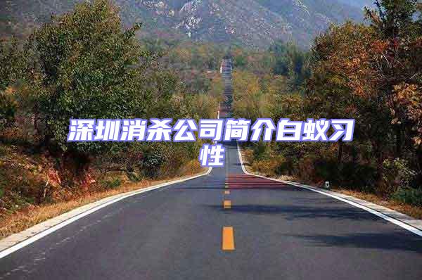 深圳消殺公司簡介白蟻習性