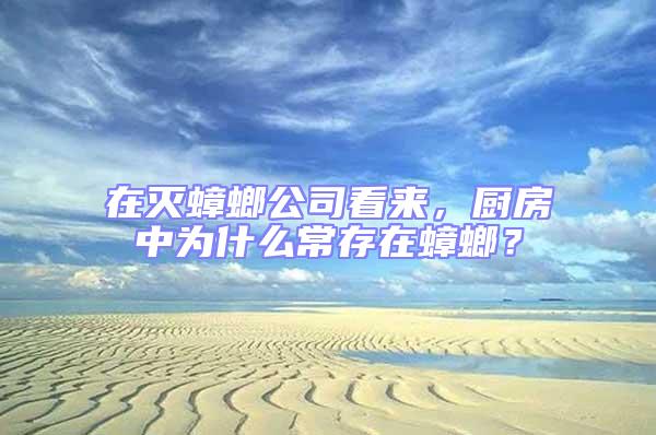 在滅蟑螂公司看來，廚房中為什么常存在蟑螂？