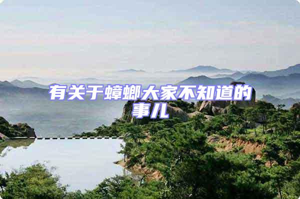 有關于蟑螂大家不知道的事兒