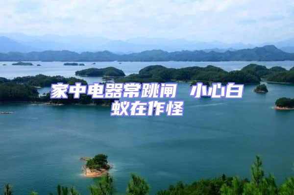 家中電器常跳閘 小心白蟻在作怪