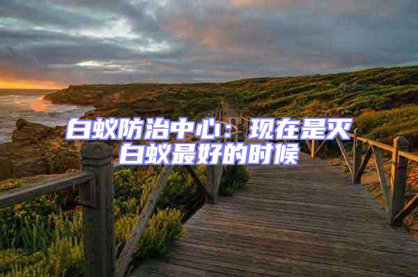 白蟻防治中心：現(xiàn)在是滅白蟻?zhàn)詈玫臅r(shí)候