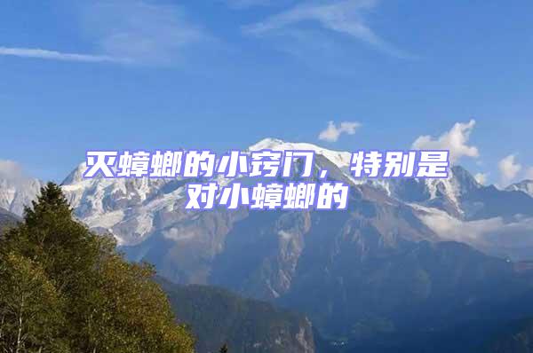 滅蟑螂的小竅門，特別是對(duì)小蟑螂的