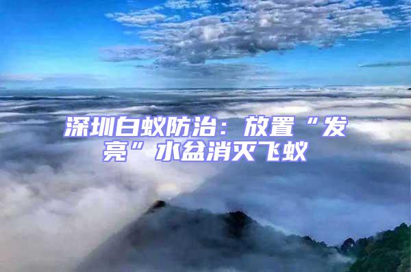 深圳白蟻防治：放置“發亮”水盆消滅飛蟻