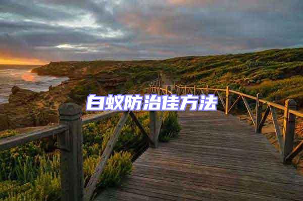 白蟻防治佳方法
