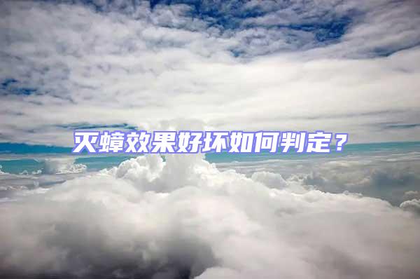 滅蟑效果好壞如何判定？