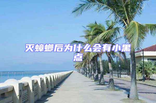 滅蟑螂后為什么會有小黑點