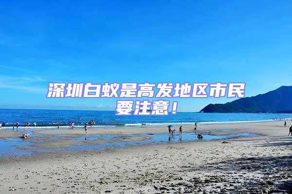 深圳白蟻是高發(fā)地區(qū)市民要注意！