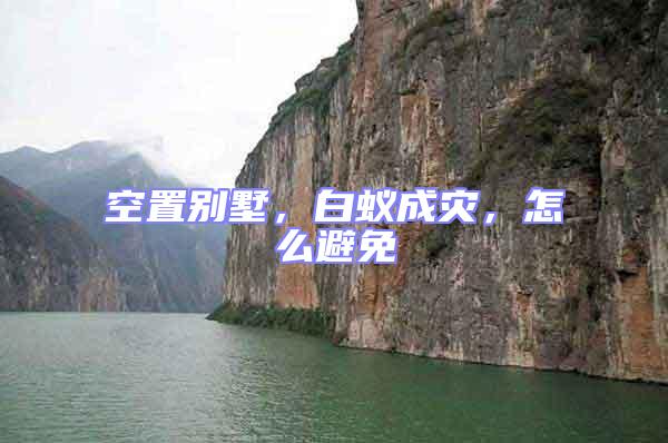 空置別墅，白蟻成災，怎么避免