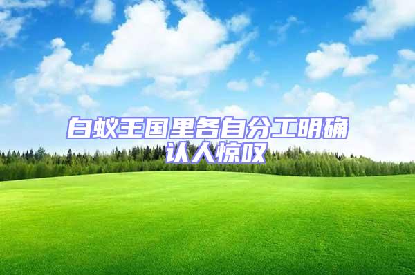 白蟻王國里各自分工明確 認(rèn)人驚嘆