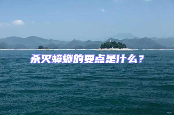 殺滅蟑螂的要點(diǎn)是什么？