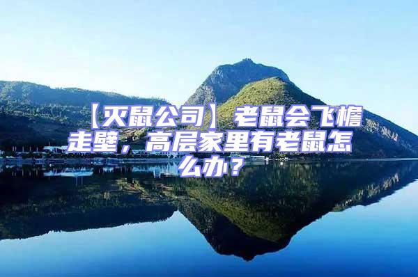 【滅鼠公司】老鼠會飛檐走壁，高層家里有老鼠怎么辦？