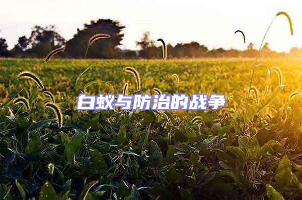 白蟻與防治的戰(zhàn)爭(zhēng)