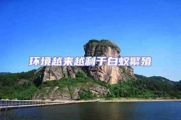 環(huán)境越來(lái)越利于白蟻繁殖