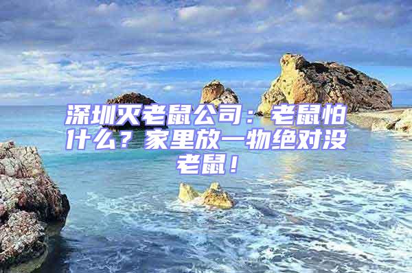 深圳滅老鼠公司：老鼠怕什么？家里放一物絕對沒老鼠！