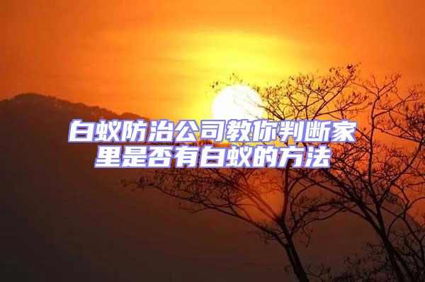 白蟻防治公司教你判斷家里是否有白蟻的方法