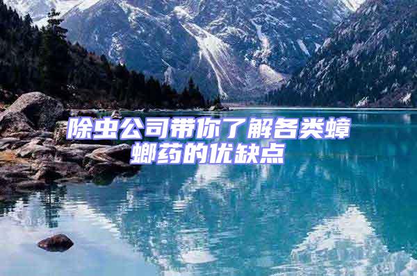 除蟲公司帶你了解各類蟑螂藥的優缺點