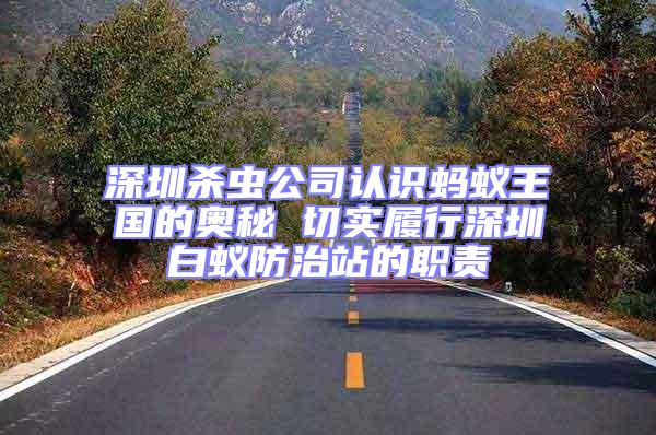 深圳殺蟲公司認(rèn)識螞蟻王國的奧秘 切實履行深圳白蟻防治站的職責(zé)