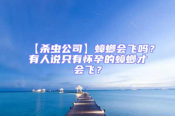 【殺蟲公司】蟑螂會(huì)飛嗎？有人說只有懷孕的蟑螂才會(huì)飛？