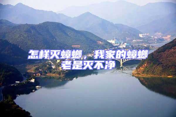 怎樣滅蟑螂，我家的蟑螂老是滅不凈