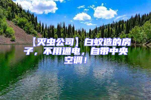 【滅蟲公司】白蟻造的房子，不用通電，自帶中央空調(diào)！