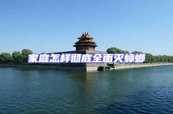 家庭怎樣徹底全面滅蟑螂