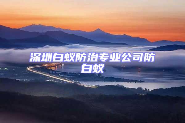 深圳白蟻防治專業公司防白蟻