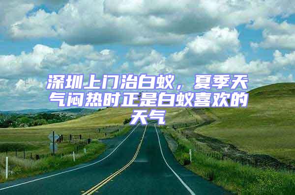 深圳上門治白蟻，夏季天氣悶熱時正是白蟻喜歡的天氣