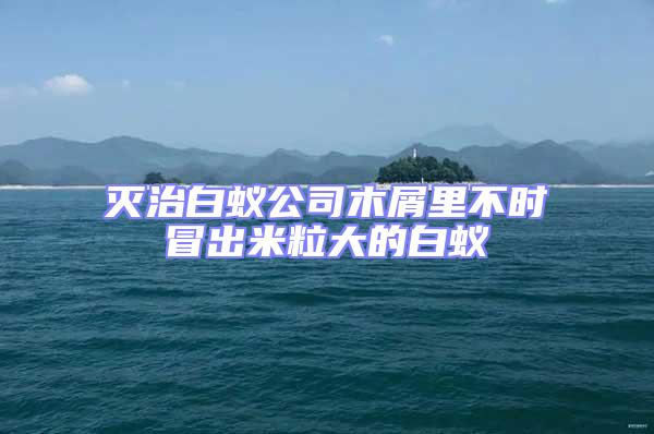 滅治白蟻公司木屑里不時(shí)冒出米粒大的白蟻