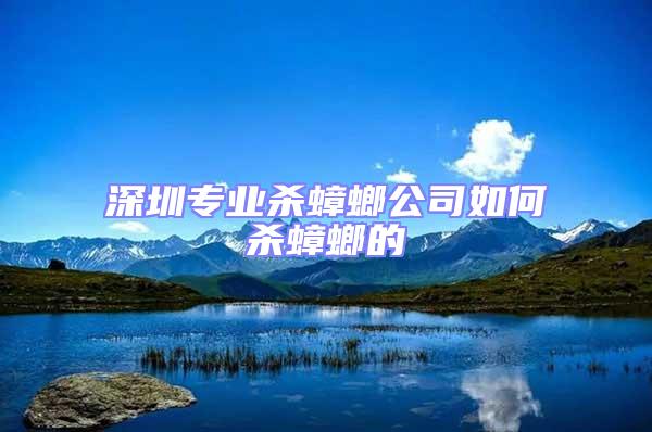深圳專業(yè)殺蟑螂公司如何殺蟑螂的
