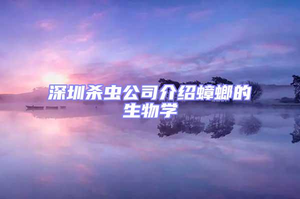 深圳殺蟲公司介紹蟑螂的生物學(xué)