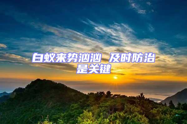 白蟻來(lái)勢(shì)洶洶 及時(shí)防治是關(guān)鍵