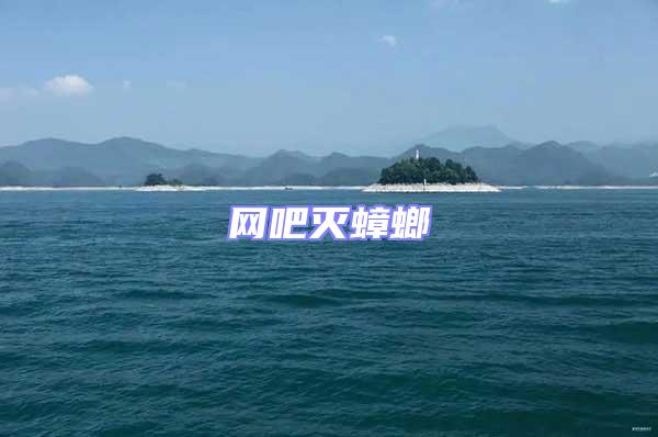 網吧滅蟑螂