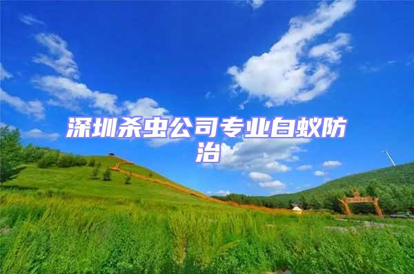 深圳殺蟲公司專業(yè)白蟻防治